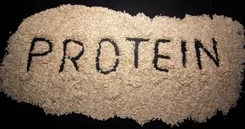 High-Protein Diet for Weight Loss